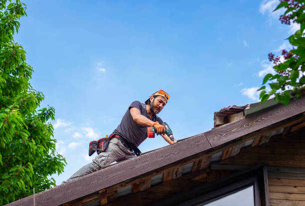 Best Roof Ventilation Installation  in Windcrest, TX