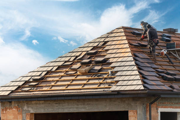 Best Roof Leak Repair  in Windcrest, TX